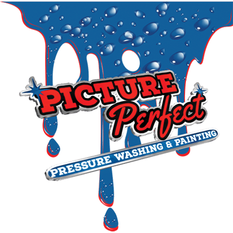 Picture Perfect Pressure Washing and Painting Company Service Logo